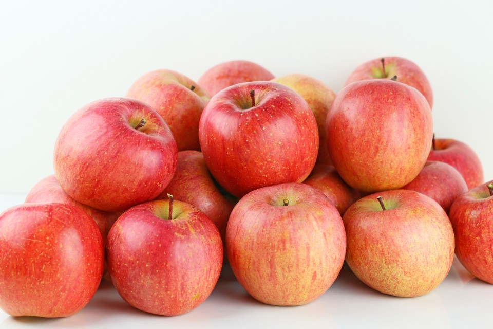 AdobeStock_128357849-960x640