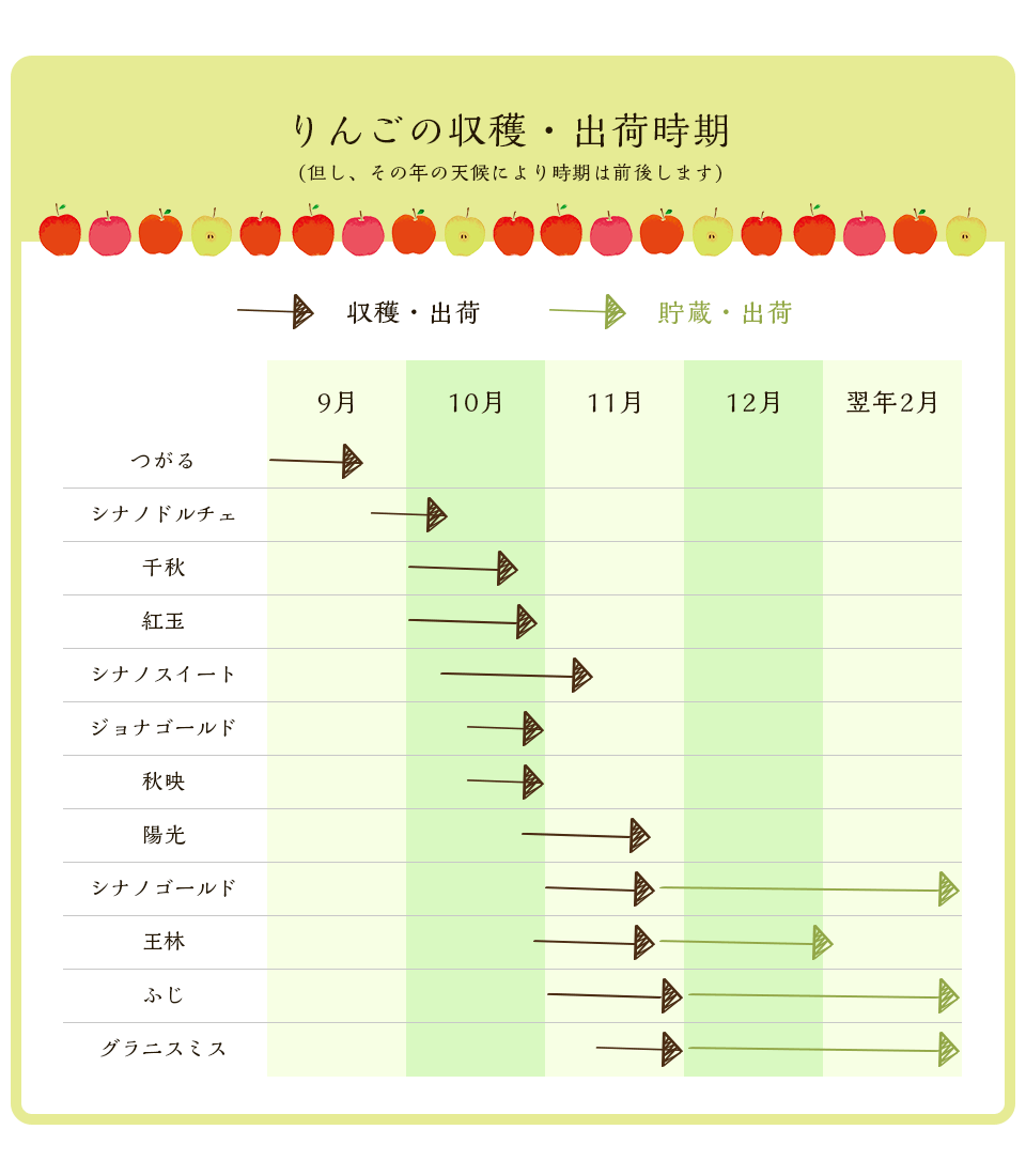 りんごの収穫・出荷時期