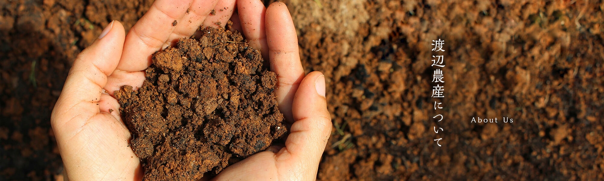 渡辺農産について