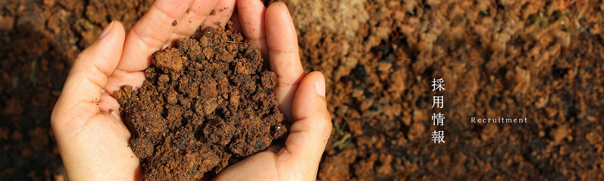 採用情報