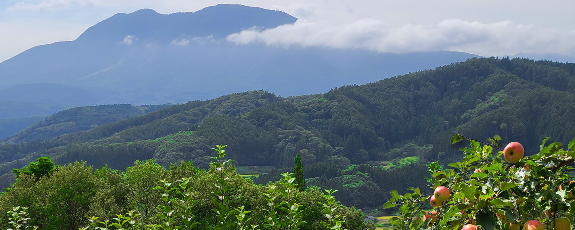 自然豊かな飯綱町で安心・安全・美味しさを追求した作物の減農薬栽培を行っています