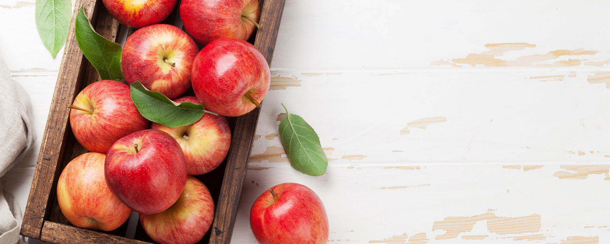 自然豊かな飯綱町で安心・安全・美味しさを追求した作物の減農薬栽培を行っています